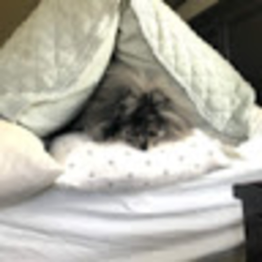 Meet your Posher, Susanne